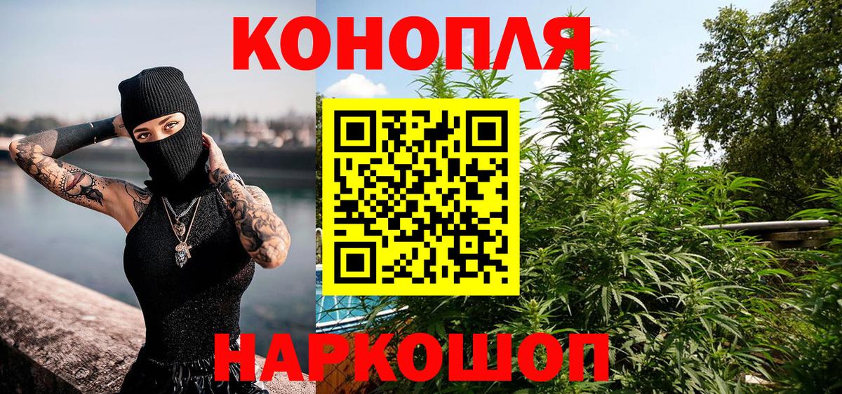 Бошки марихуана планчик  Канабис гибрид  Вход с VPN  Анжеро-Судженск 